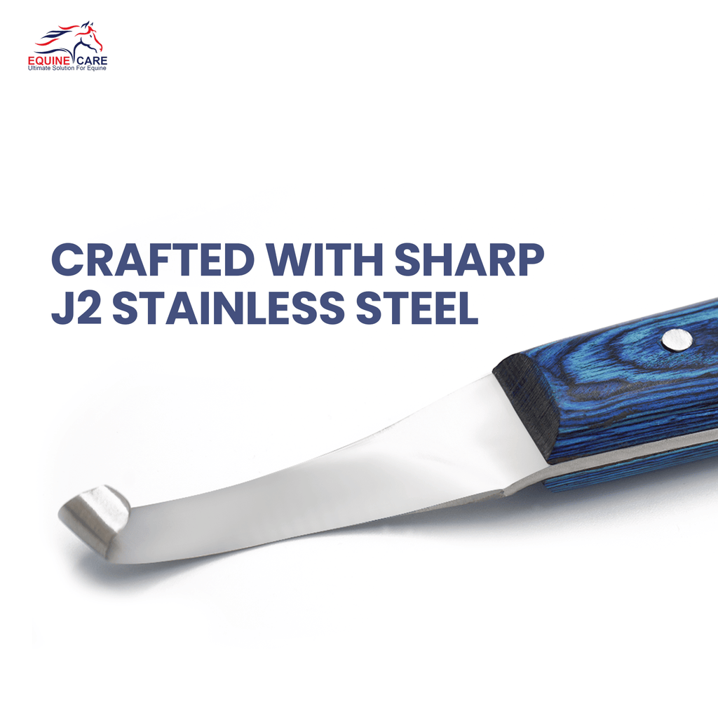 Precision Hoof Knife for Horses, J2 Steel, Right & Left, Blue 1