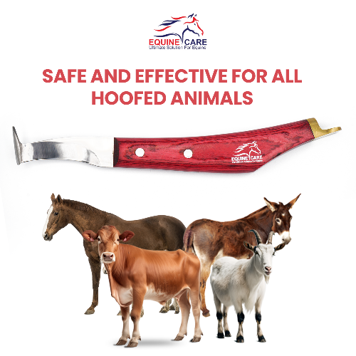 Precision Hoof Knife for Horses – Right & Left