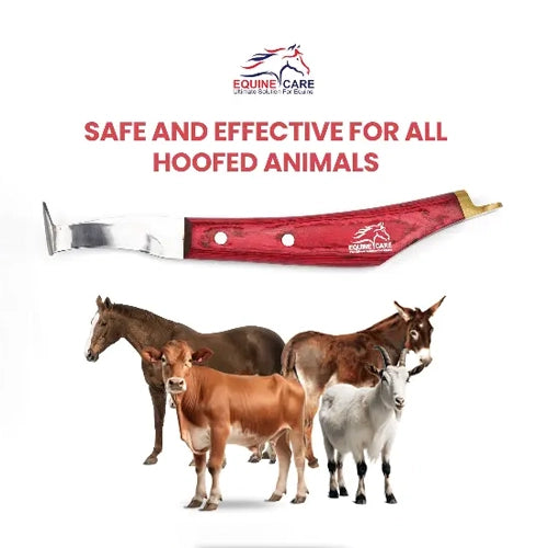 Cuchillo de precisión para cascos de caballos (derecho e izquierdo), acero J2, punta de latón