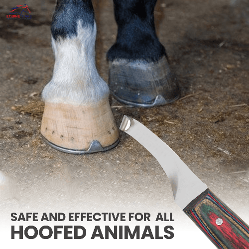 Precision Hoof Knife for Horses – Right & Left, J2 Steel Blade - Equine Care