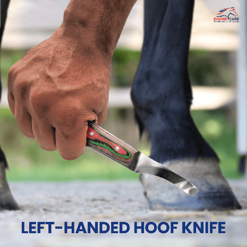Precision Hoof Knife for Horses – Right & Left, J2 Steel Blade - Equine Care