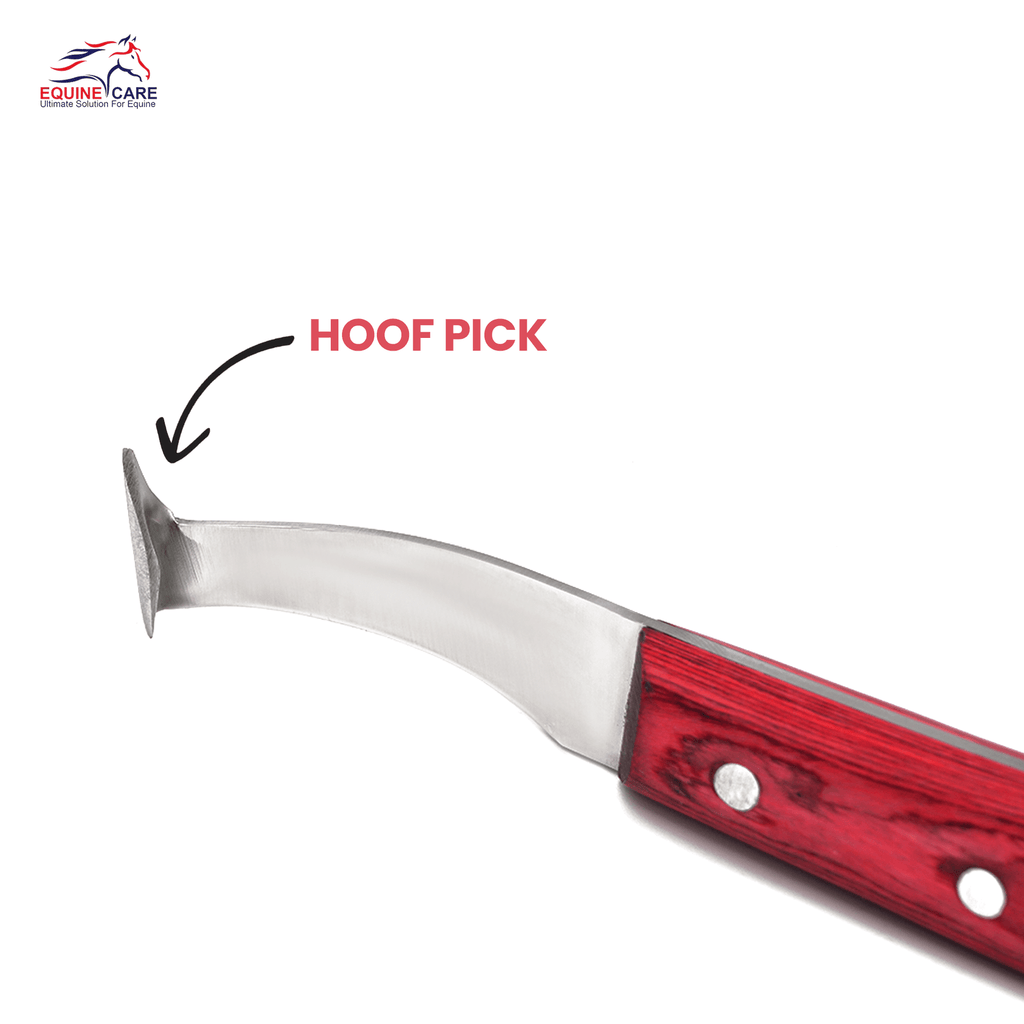 Precision Hoof Knife for Horses – Right & Left, J2 Steel, Brass Topper