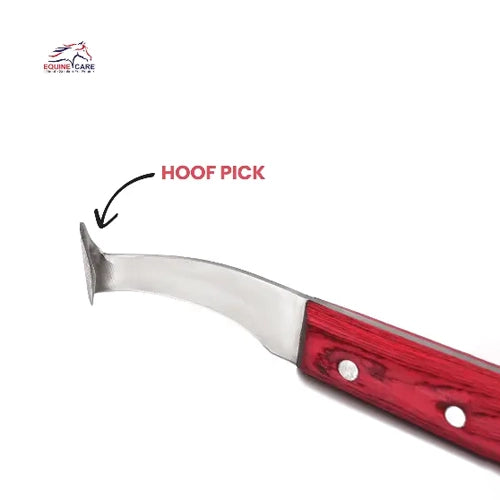 Cuchillo de precisión para cascos de caballos (derecho e izquierdo), acero J2, punta de latón