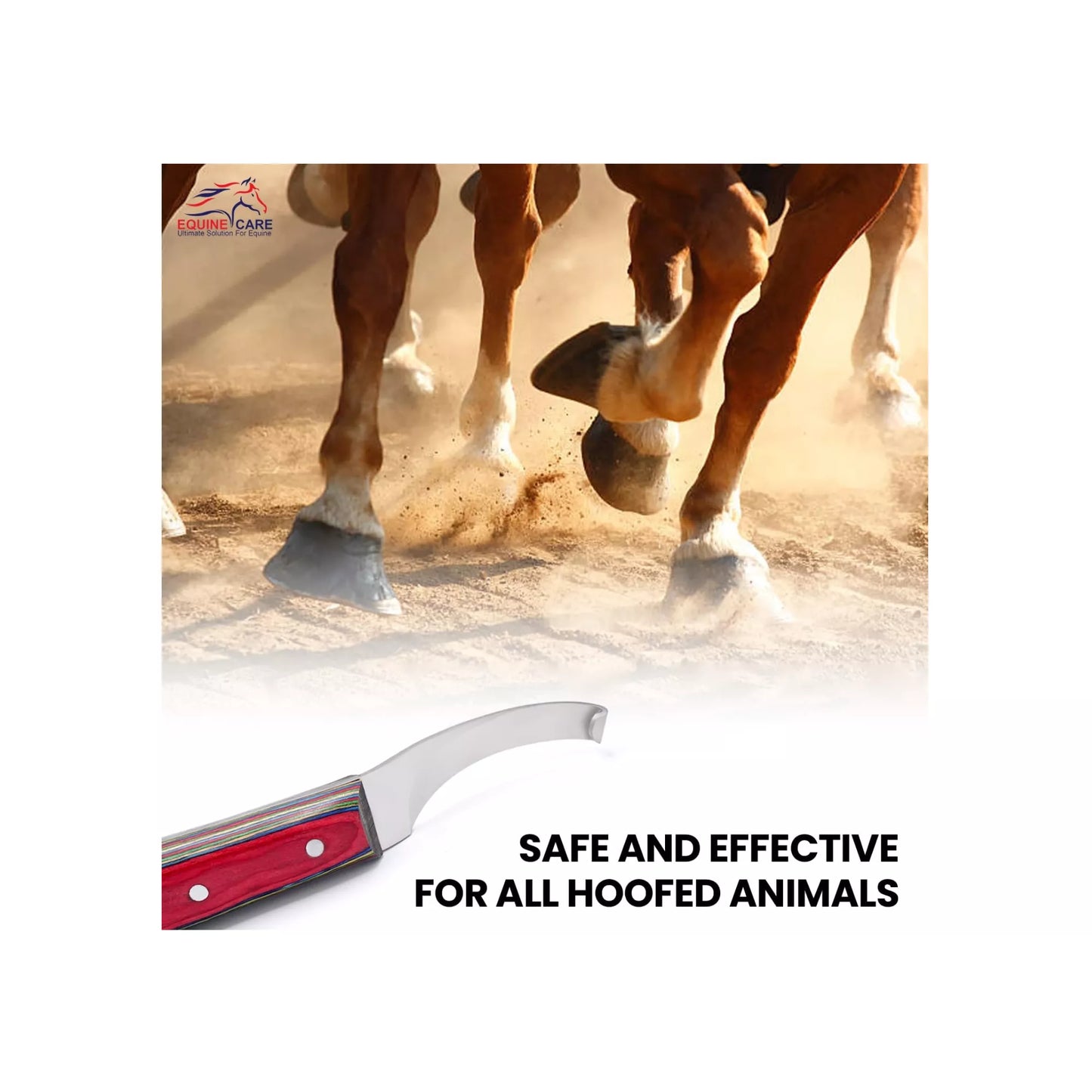 Equine Care razor edge hoof knife shown with running horses’ hooves, highlighting safe and effective hoof trimming for all hoofed animals