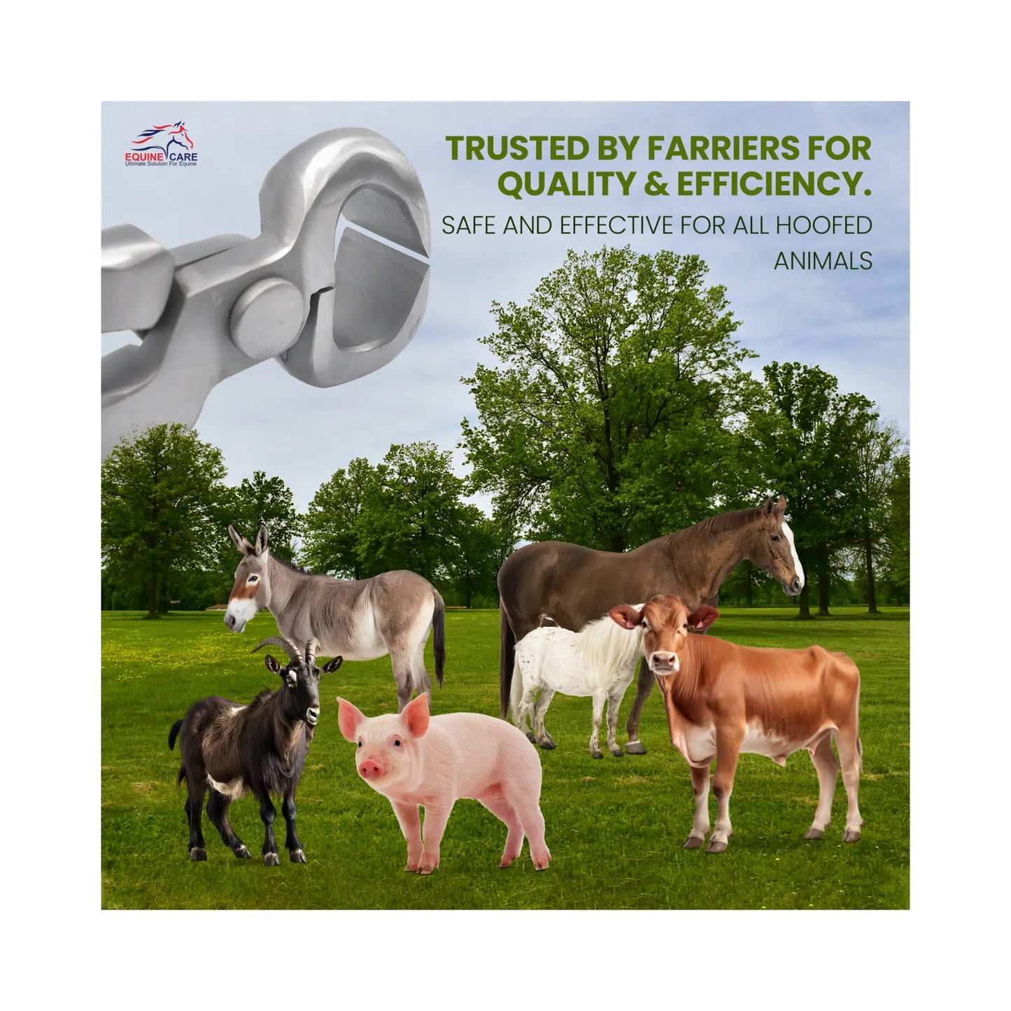 Spring Free Hoof Nippers by Equine Care – 10″ to 15″ Farrier Tools