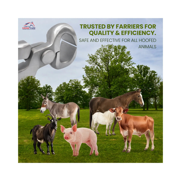 Spring Free Hoof Nippers by Equine Care – 10″ to 15″ Farrier Tools