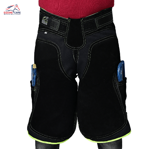 Women's Farrier Chaps Leather with Green/Purple/Pink Piping - 23