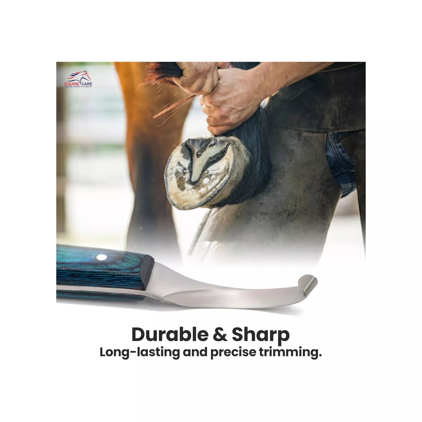 Blue Curved Blade Hoof Knife – J2 Steel Farrier Knife with Ergonomic Handle