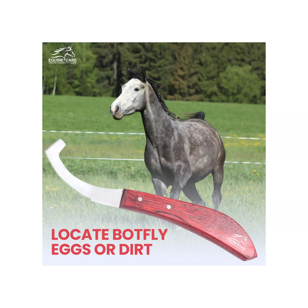 Professional Bot Knife for Horse Grooming & Coat Care
