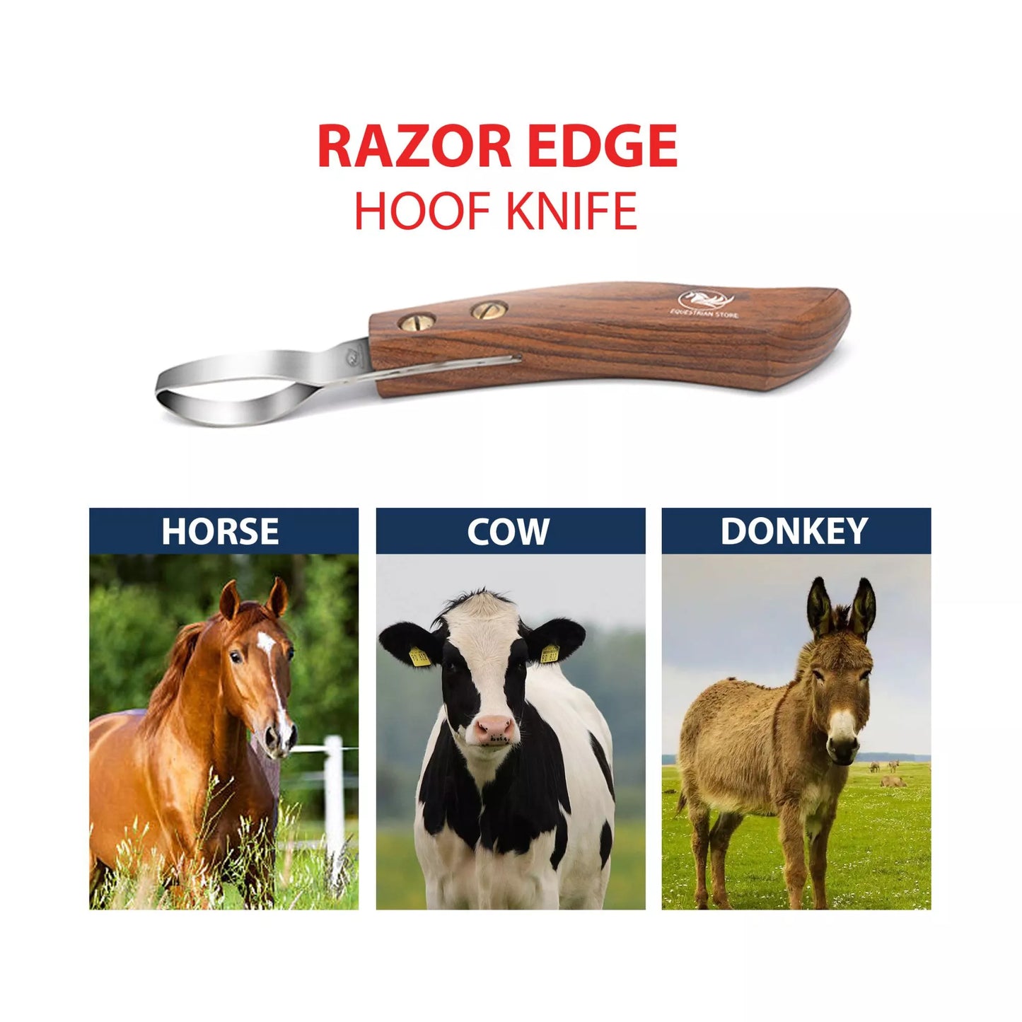 Double Edged Wooden Loop Hoof Knife - Equine Care, razor edge