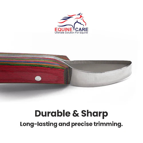 Equine Care Double Edged Steel Loop Hoof Knife Tool - Stainless