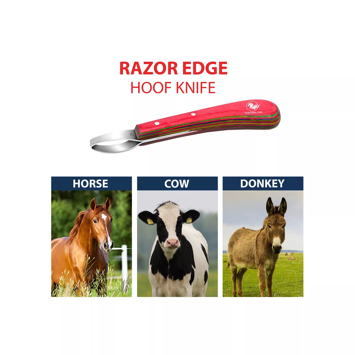 Double edged loop hoof knife suitable for horses ponies goats sheep cattle donkeys and other livestock hoof trimming