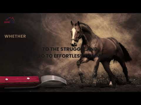 Doppelseitiges Hufmesser mit Stahlschlaufe – J2 Edelstahl, ergonomischer roter Griff, für beide Hände